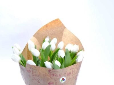 Ramo de 12 rosas rojas