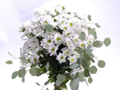 Ramo de 12 rosas rojas